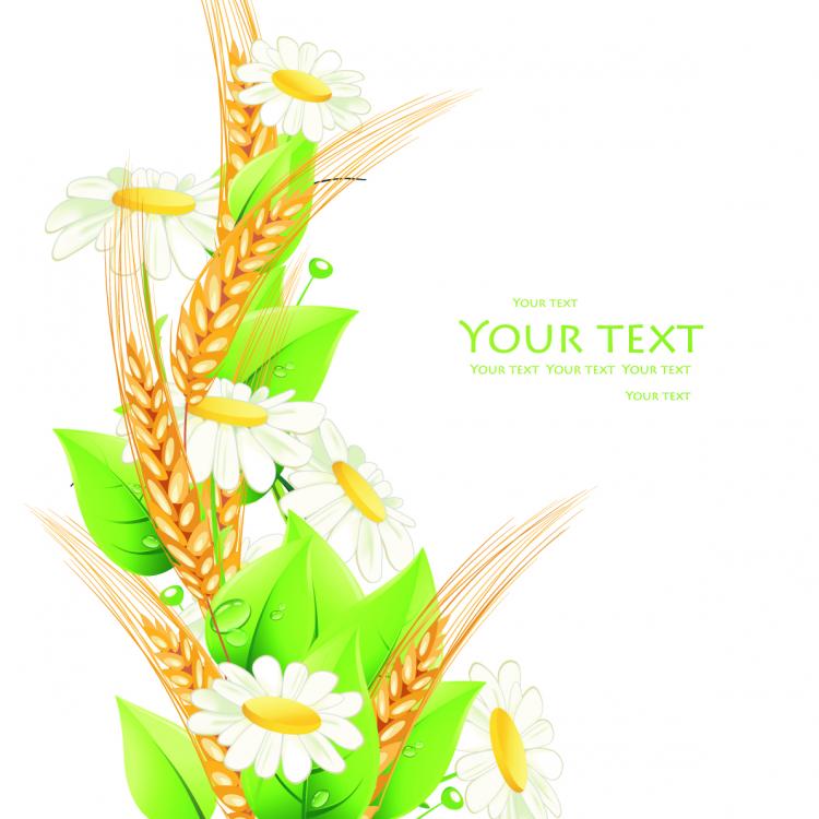 free vector Beautiful flowers background 03 vector